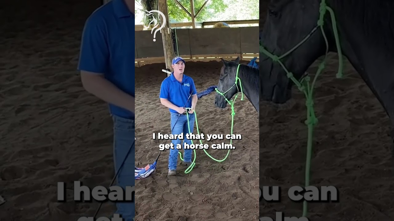 Your Horse's Fear Won't Hurt You | The Horse Guru - Michael Gascon