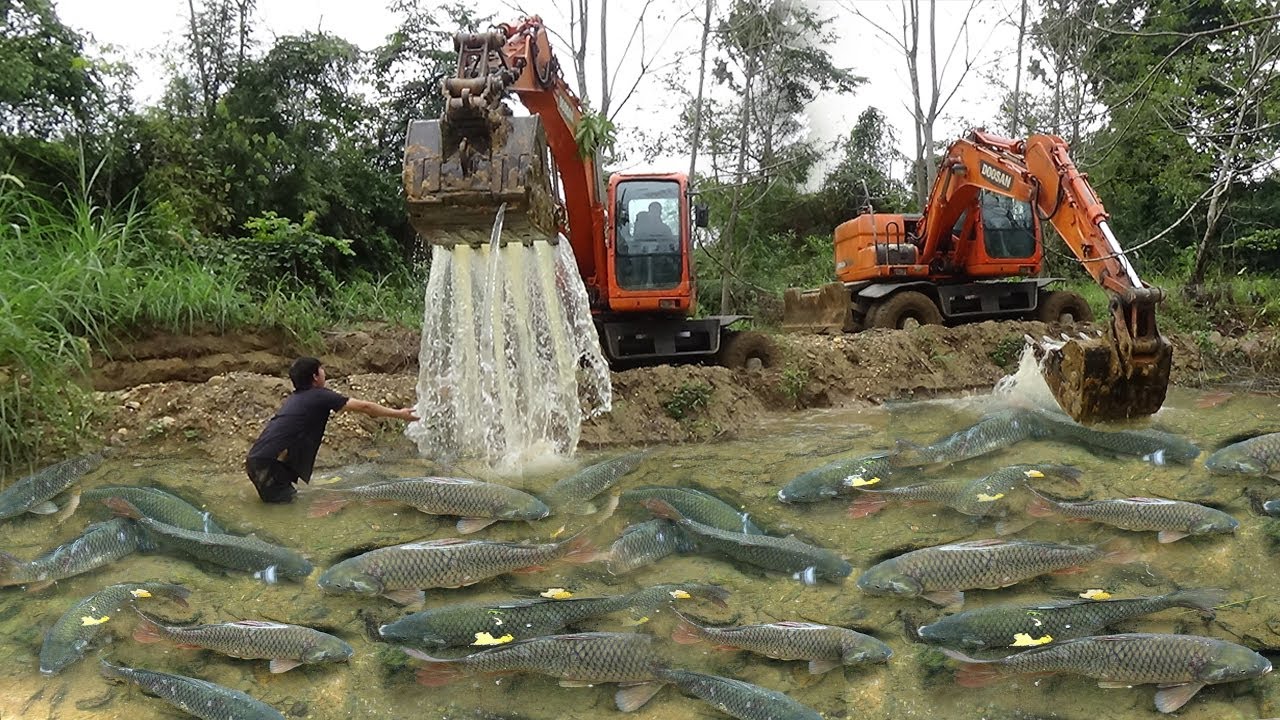 Full Video Fishing Exciting: Use Large Excavator Catch Many Of Fish, Capacity Pump Suck Water