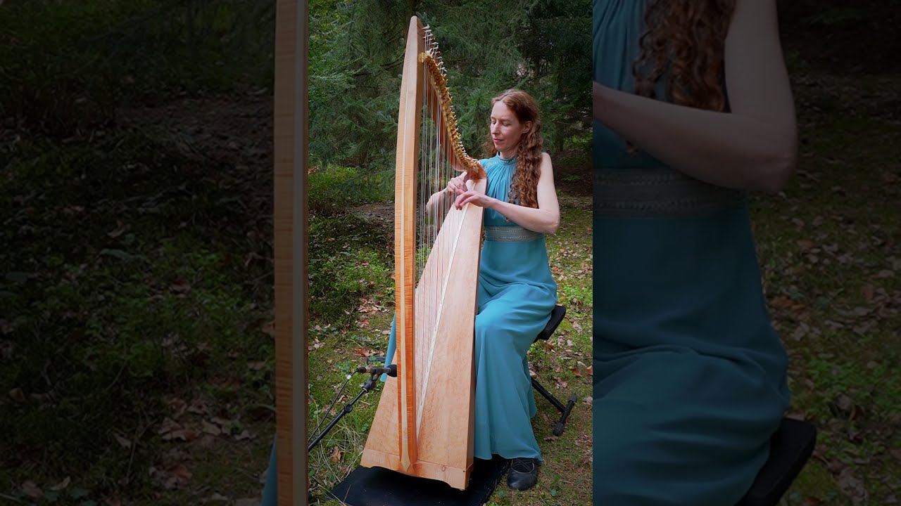 Celtic Harp Solo 