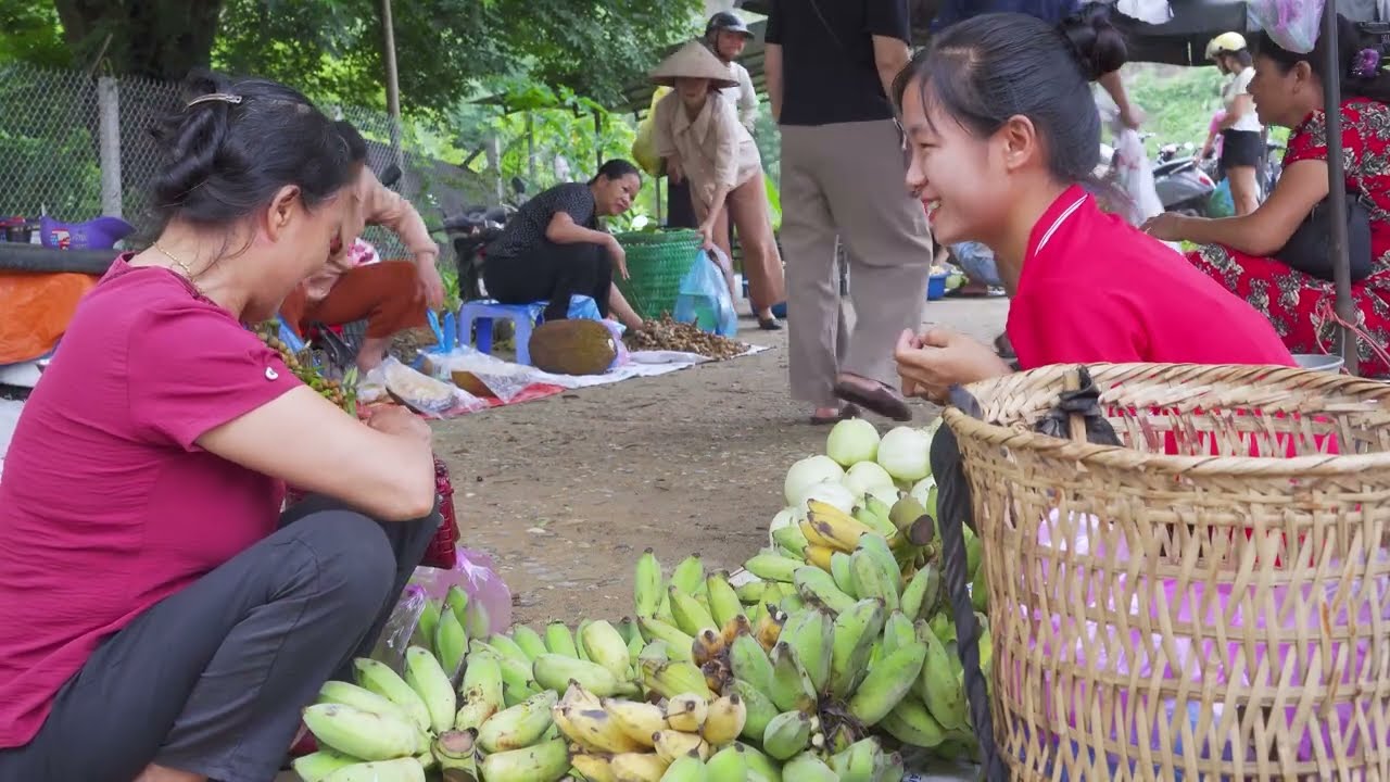 TIMELAPSE — Harvesting Many Giant Wild Banana Bunches & Goes to Market Sell – Mountain Nature Life