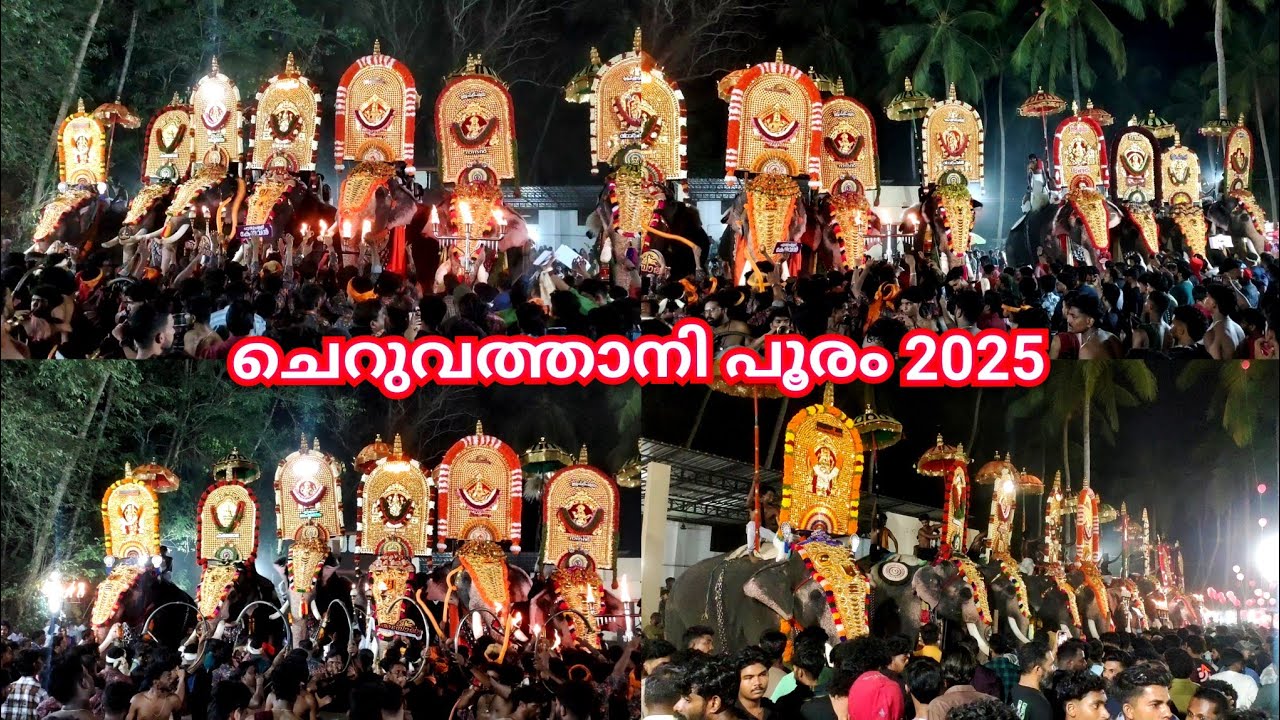 ചെറുവത്താനി പൂരം 2025 || Cheruvathani Pooram 2025