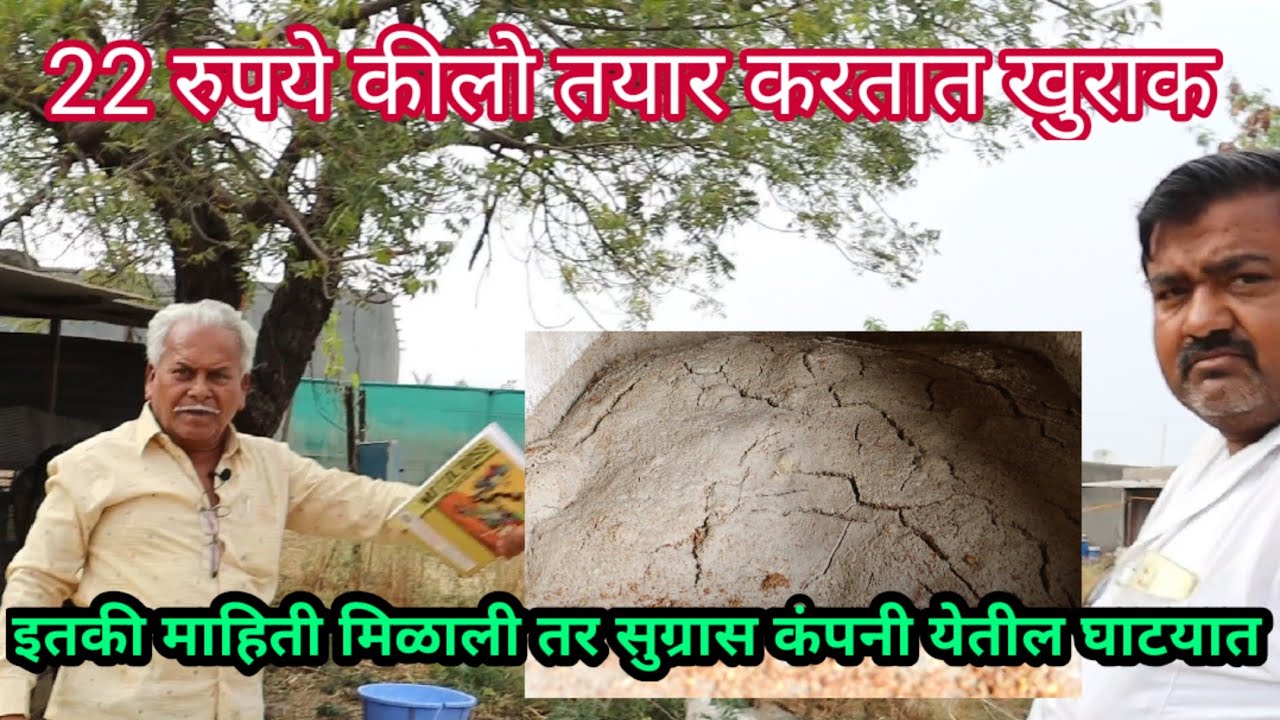इतका स्वस्त आणि सकस खुराक तुम्ही पण सहज बनवू शकतात