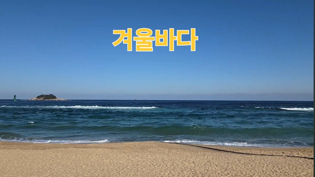 2026년 겨울 일상들