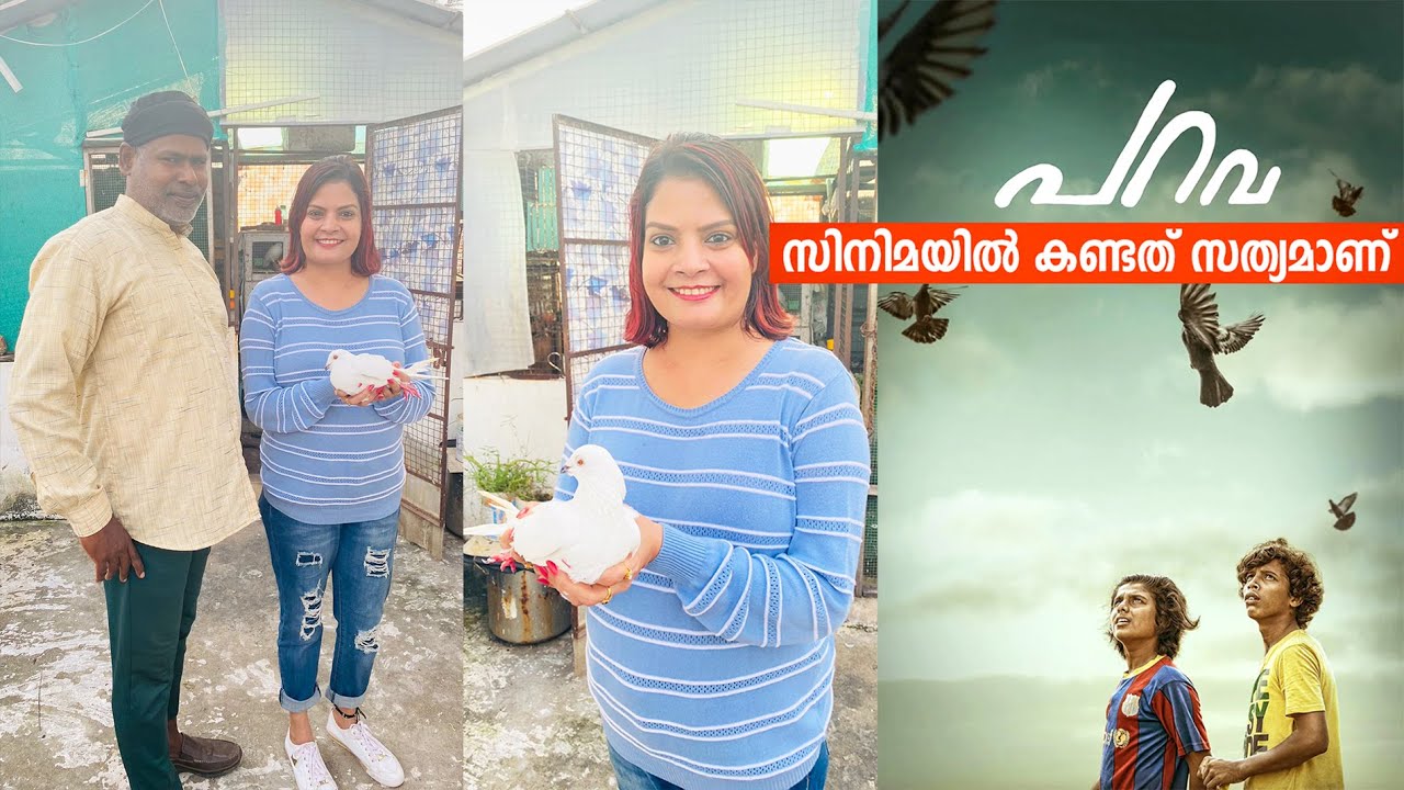'പറവ' സിനിമയിലെ പ്രാവ് പറത്തൽ ഇവിടെ ശരിക്കുമുണ്ട്