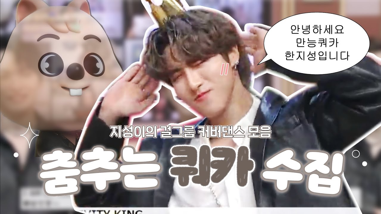 [스트레이키즈/한] 디덩이 걸그룹 커버댄스 모음