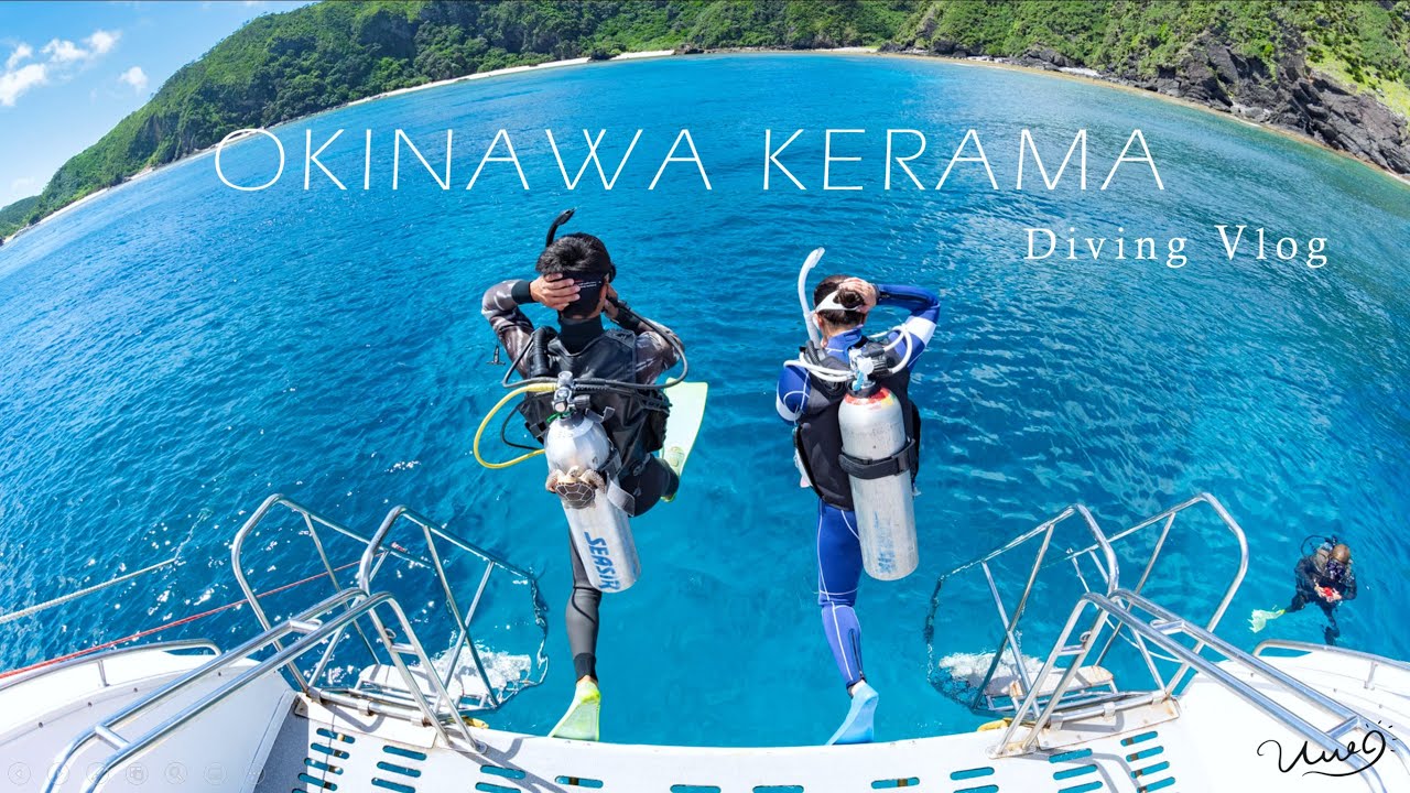 まるで夢のような美しさ。ケラマブルーの海でダイビング