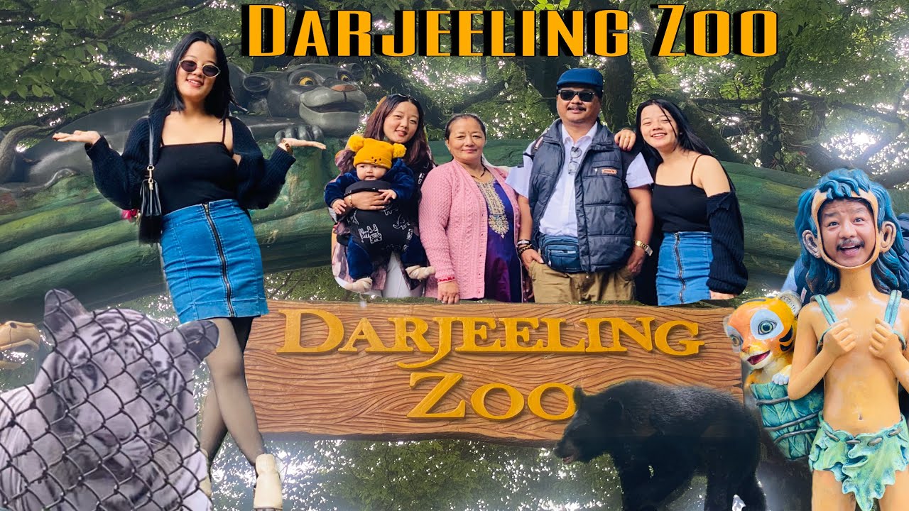 Darjeeling Zoo 🌴| Mall road | Darjeeling 🏔️