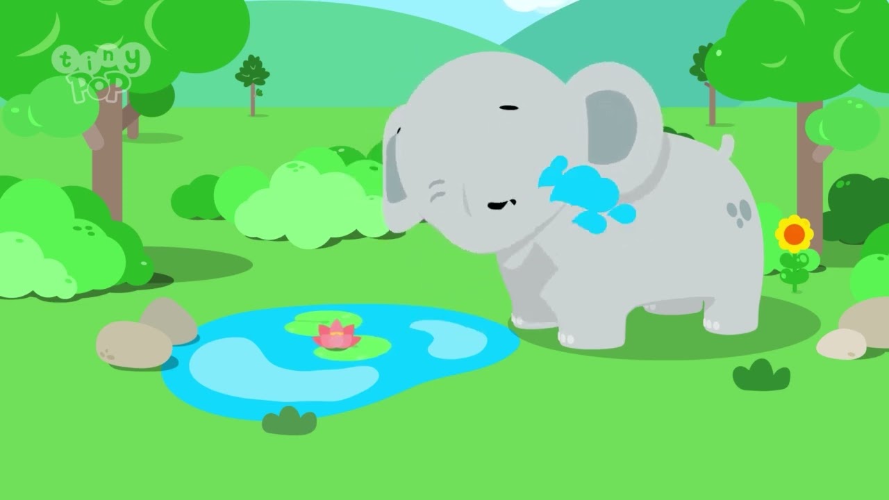 Tiny Pop's BIG Questions 🐘Why do Elephants have Trunks?
