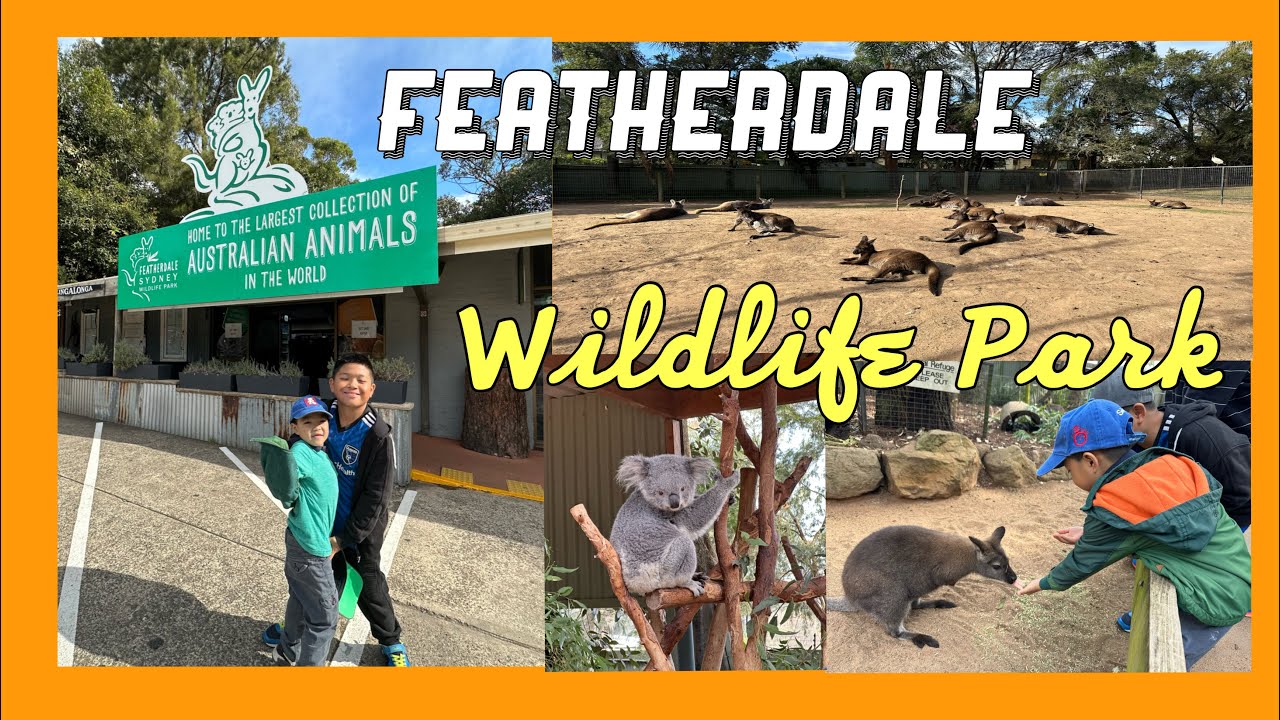 FEATHERDALE WILDLIFE PARK | AUSTRALIAN ANIMALS