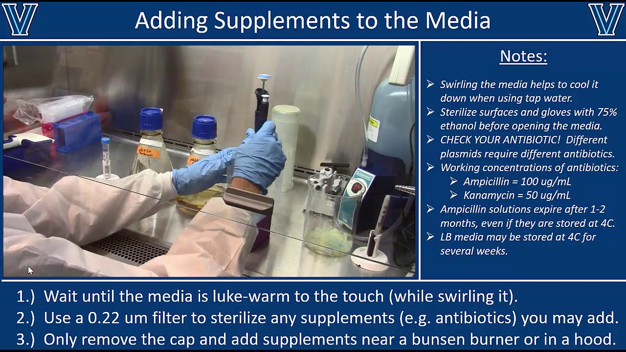 Bacterial Cell Culture Techniques