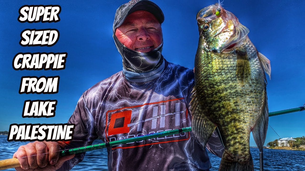 SUPER SIZED CRAPPIE FROM LAKE PALESTINE- New season teaser