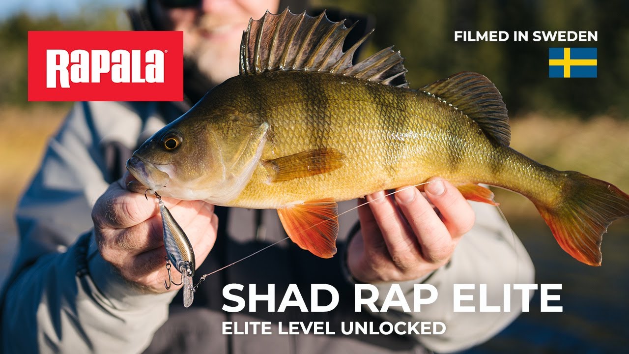 NEW Rapala&reg; Shad Rap&reg; Elite