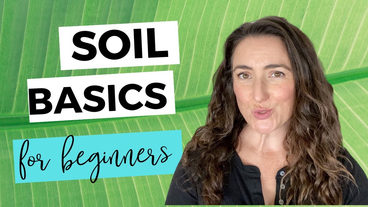 Indoor Potting Mix - Best for Plant Health