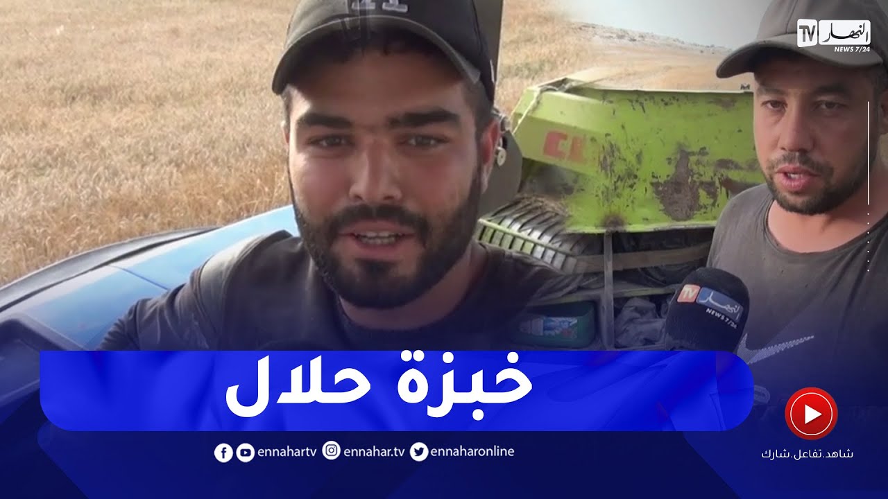 ميلة: العمل في حصاد المحاصيل .. الشباب يعودون للفلاحة