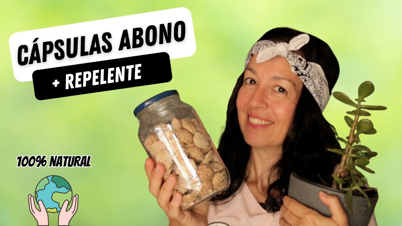 ABONO con RESTOS DE COMIDA #reciclaje #plantas
