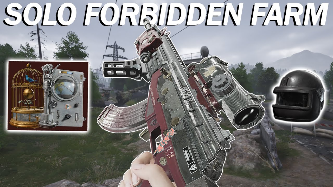 Ho Ho Hold my ACE31! - Arena Breakout: Infinite SS3
