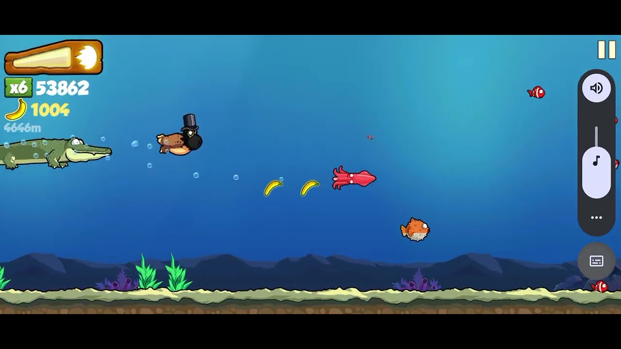 Video di Banana Kong🦍