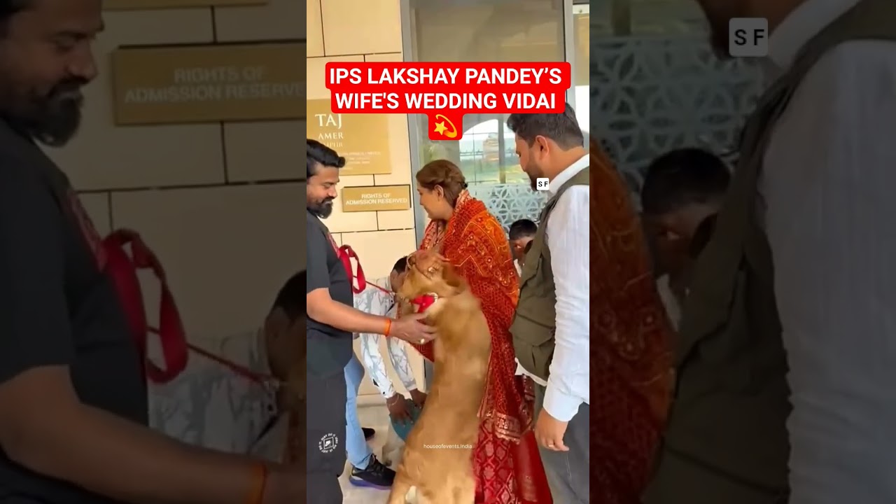 IPS LAKSHAY PANDEY’S WIFE'S WEDDING VIDAI CEREMONY 💫#couple #love #trending #short#viral 🔥#emotional