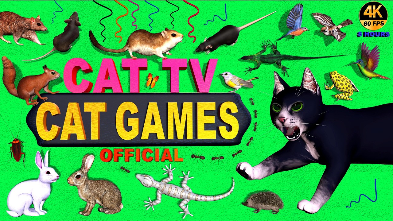 CAT GAMES COMPILATION FOR FELINE FRIENDS | VIDEOS FOR CATS TO WATCH 4K 60 FPS | CAT ENTERTAINMENT TV