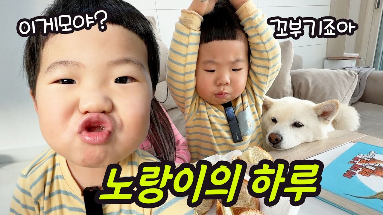 노랑이의 평일하루 브이로그! 이게뭐야 지옥이 시작되었습니다!!