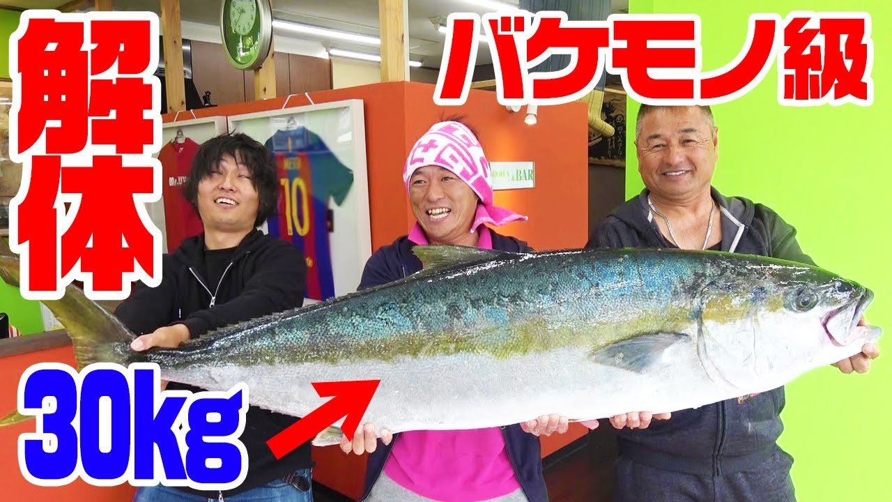 【唖然】30kgの超巨大ヒラマサを出刃とノコギリで解体してみた‼