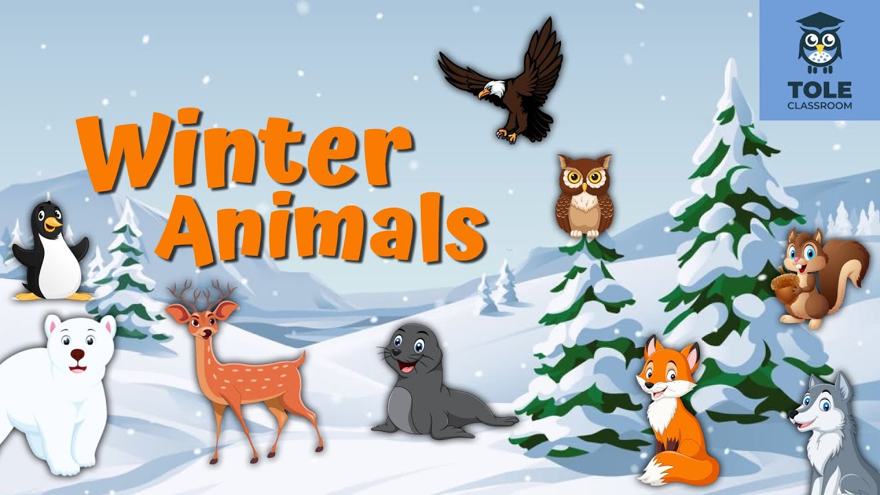Winter Animal Names | Easy & Fun English Learning | Flashcard | Tole Classroom