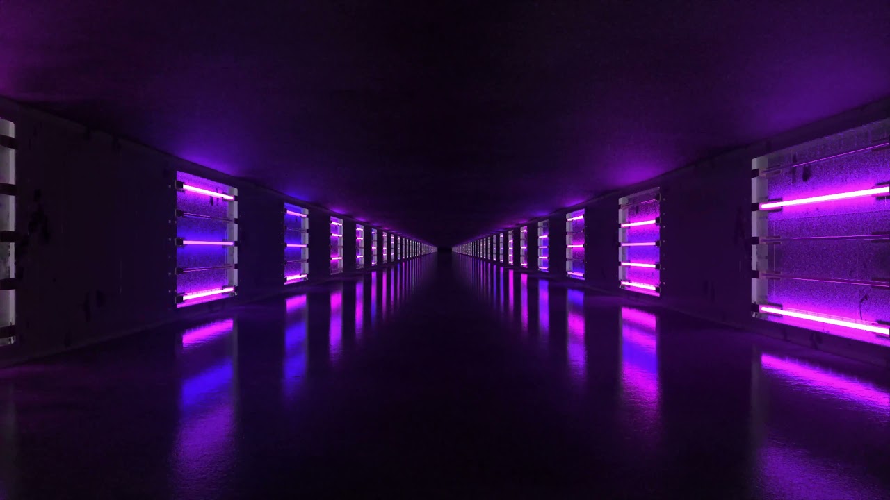 NEMESIS  -  Cerberus