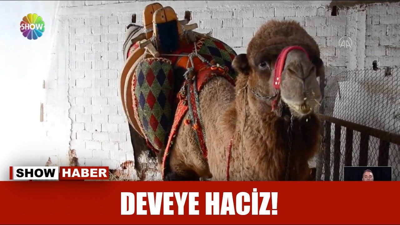 Deveye haciz!