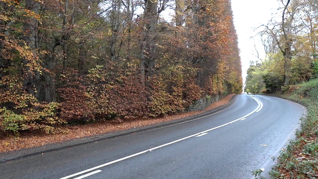 Autumn Beech Hedge Meikleour Perthshire Scotland