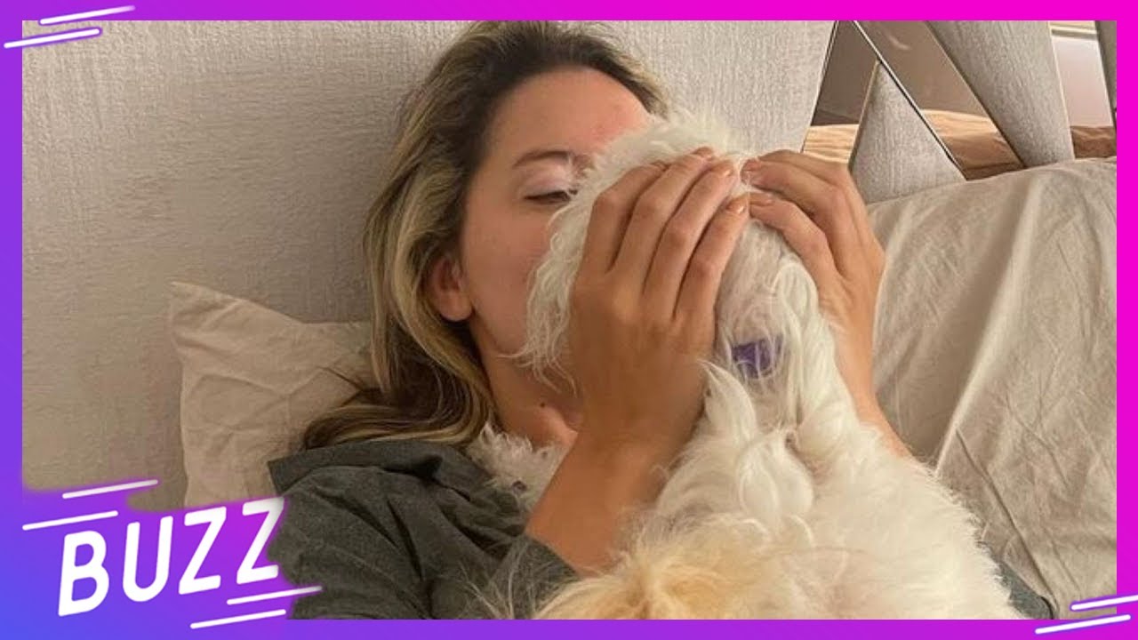 Daniela &Aacute;lvarez sufre por la muerte de su mascota | Buzz
