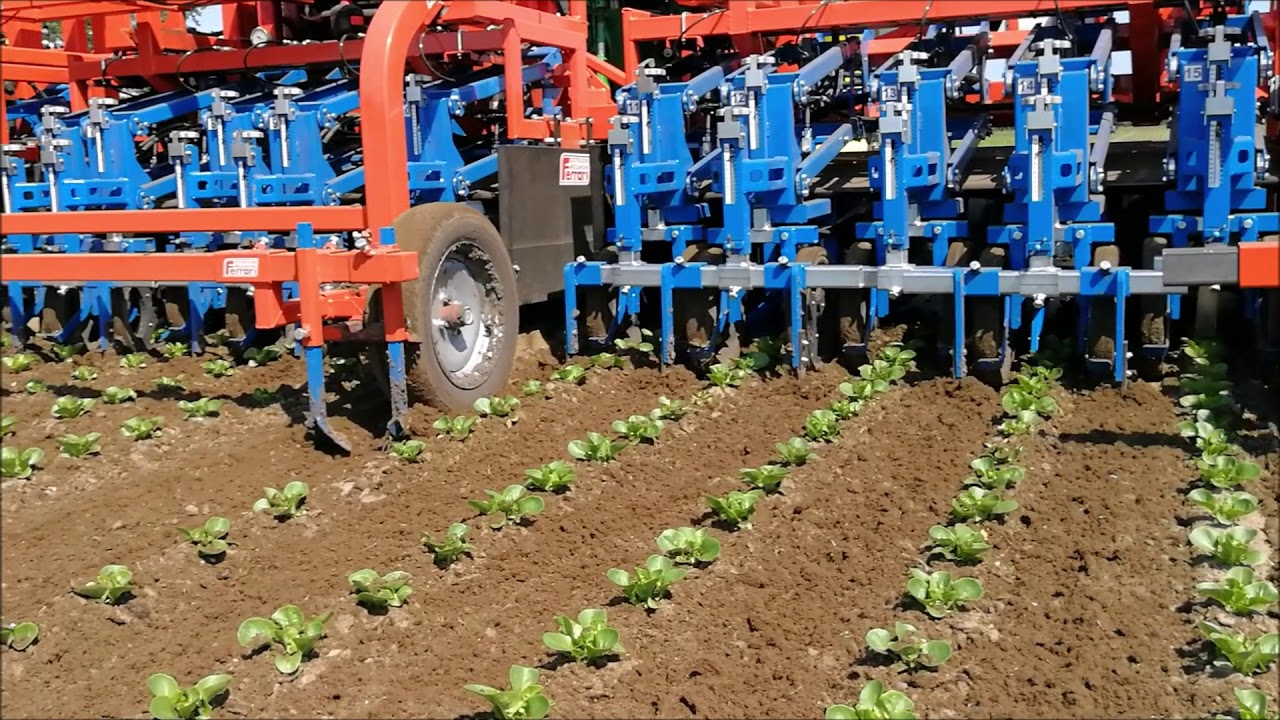 Ferrari REMOWEED15 Inter-row Hoe