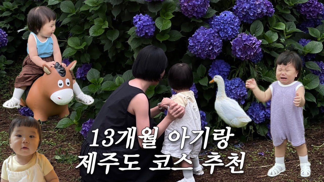[육아기록] 또 왔어요 13개월 아기와 두번째 제주도 여행 - 아기랑 제주도 코스 추천📢 #제주도 #jeju