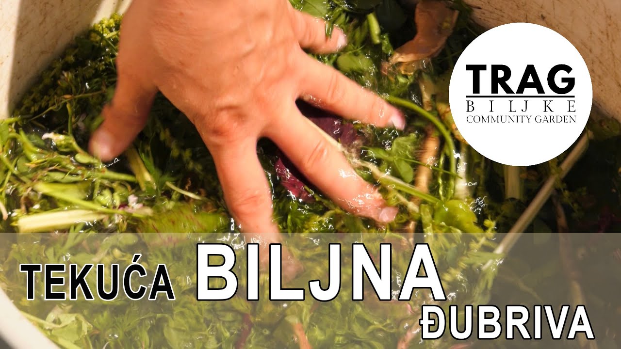 ЖИДКИЕ УДОБРЕНИЯ ДЛЯ РАСТЕНИЙ (2021) [СЛЕД РАСТЕНИЯ]