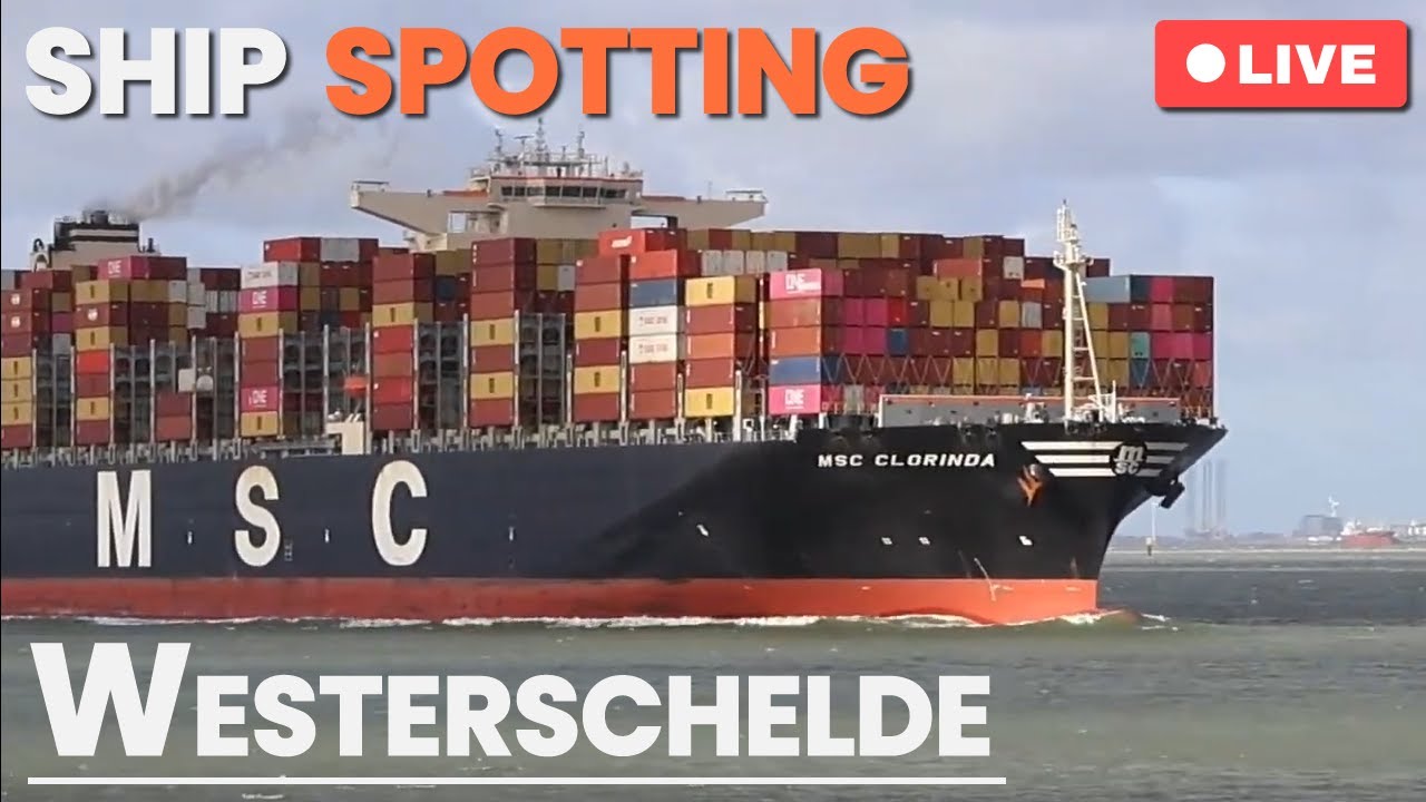 LIVE: 🚢 Relaxing Ship Spotting on the Westerschelde, NL | October 26th, 2025
