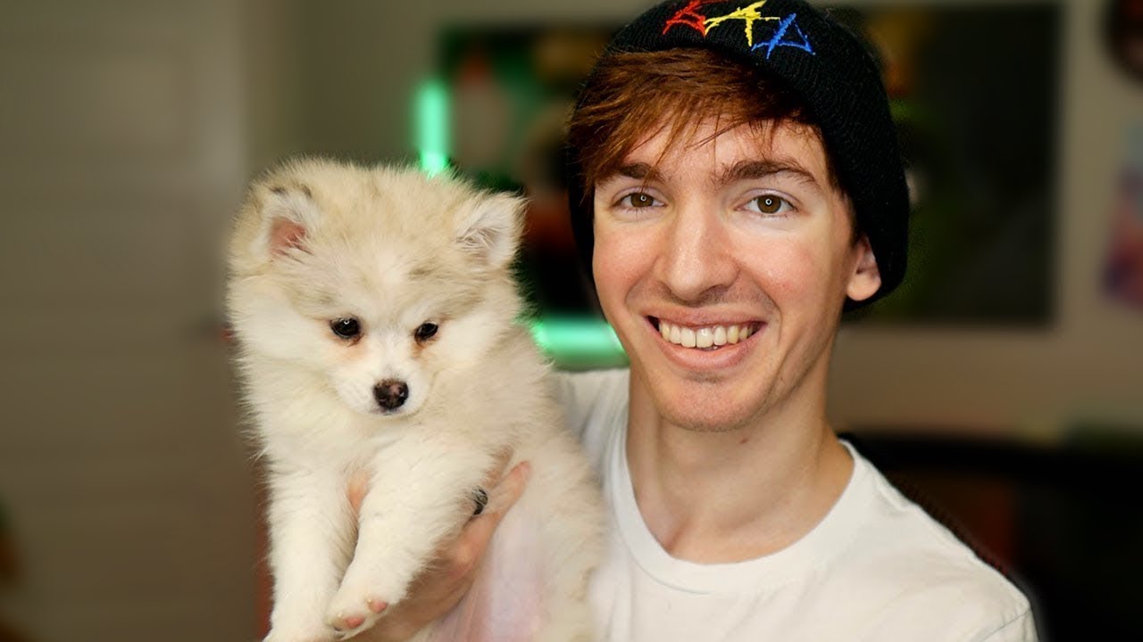 WE GOT A PUPPY!