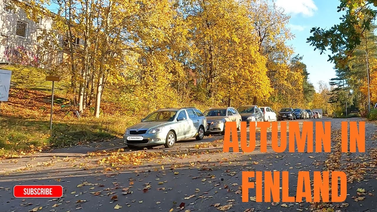 Is Autumn the Most Beautiful Season in Finland? 🍁 | Real Sounds of Finnish Fall (No Music)