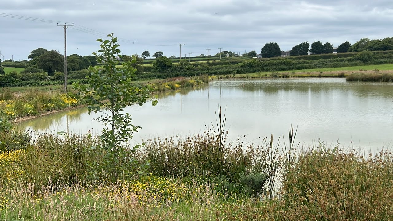 Thatchers island carp fishery **update** new opening plans and why I’ve been on the missing list