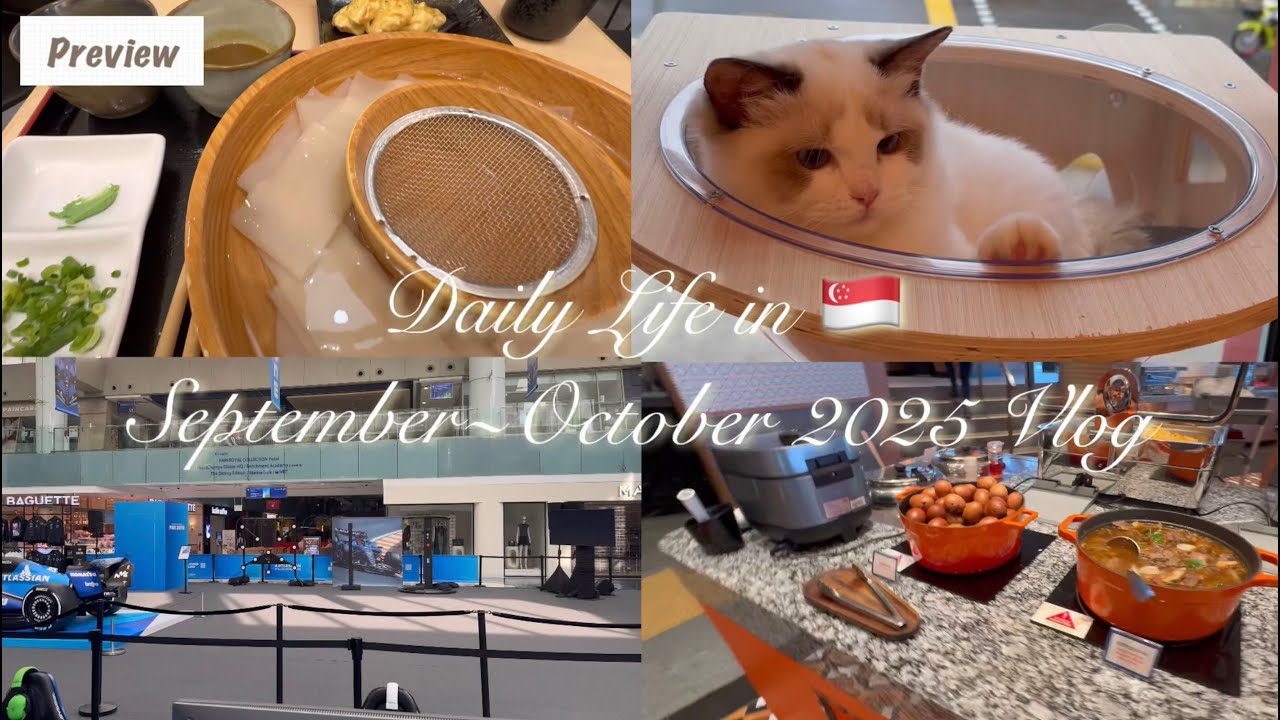 Daily Life in 🇸🇬 Visiting a Cat Cafe #throwback  New Jellycat Unboxing  What we ate  #dailyvlog