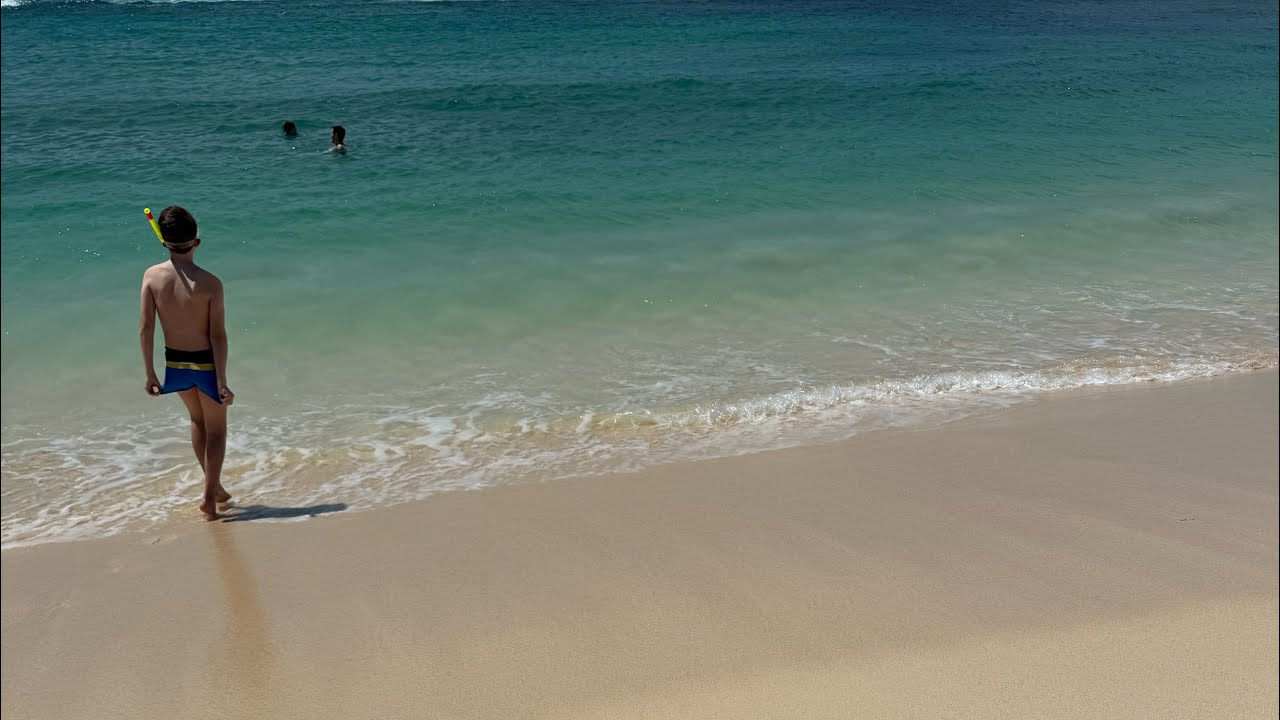 Snorkelling in Fuerteventura, El Cotillo Lagoon🐠 #fuerteventura #snorkeling #fish #lagoon