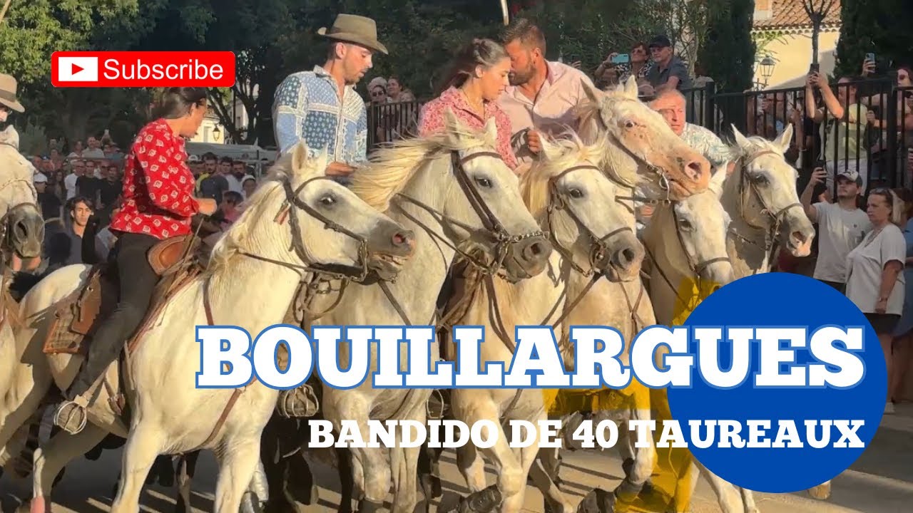 Bandido de 40 taureaux ➡️ Bouillargues 🇫🇷 Manade CONTI 🔥 04/08/2025
