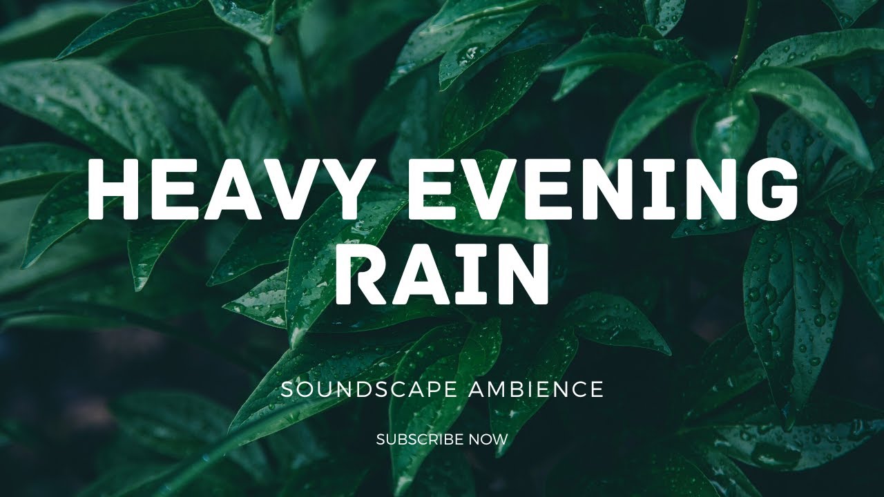 Heavy Evening Rainforest sounds to sooth you into a deep sleep, with light thunder + birds chirping