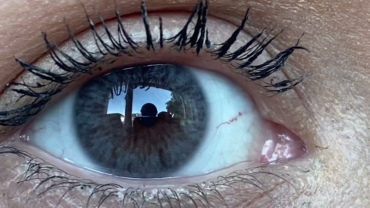 Siesta Crystal Iris Gray - Contact Lenses 👁️&zwj;🗨️🖤👁️&zwj;🗨️