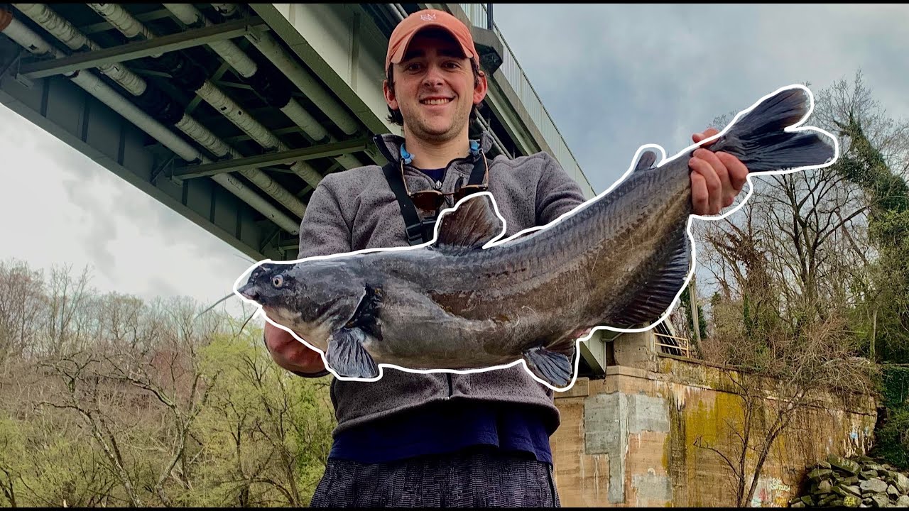Washington DC Fishing with Artificials: Early Season Potomac River