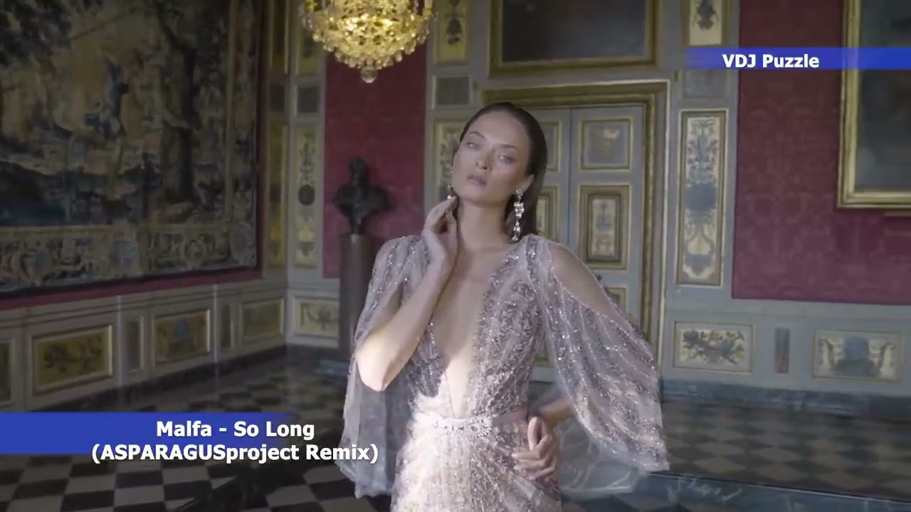 So Long ASPARAGUSproject Remix Video VDJ Puzzle