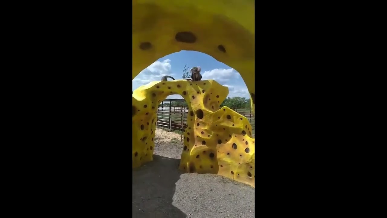 Cheese City (арт-бетон)
