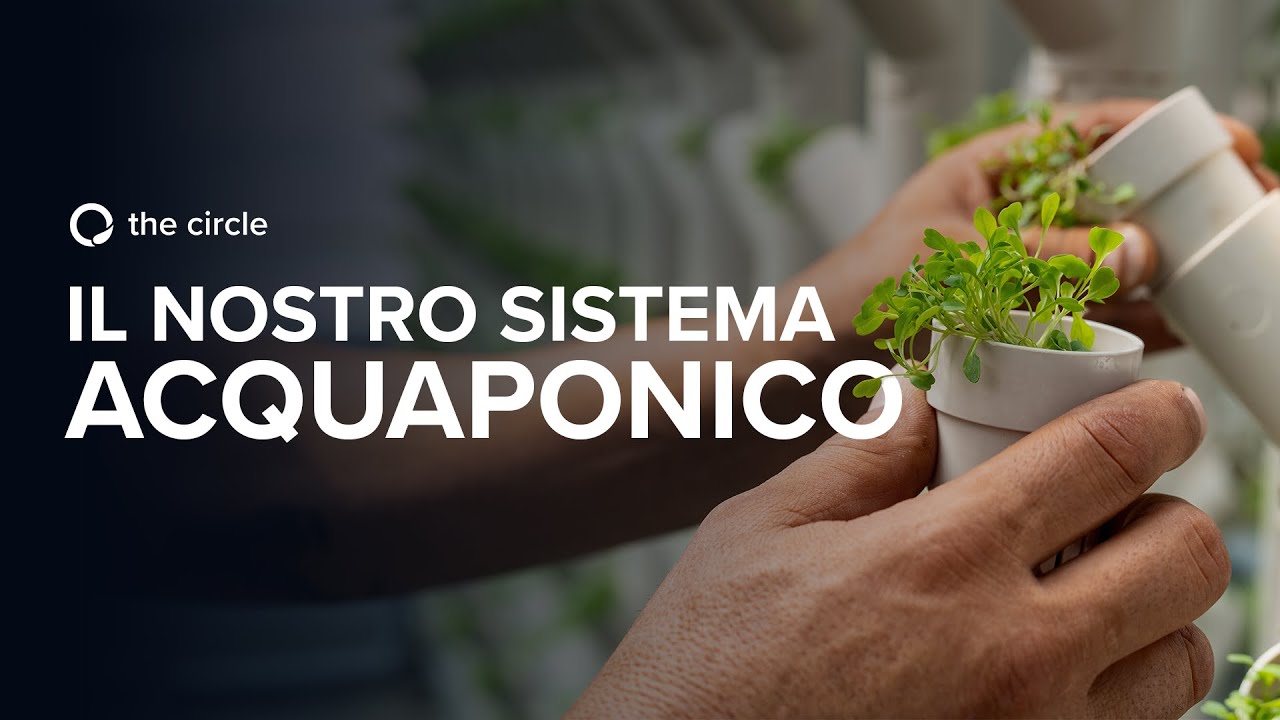 The Circle - Il nostro impianto acquaponico