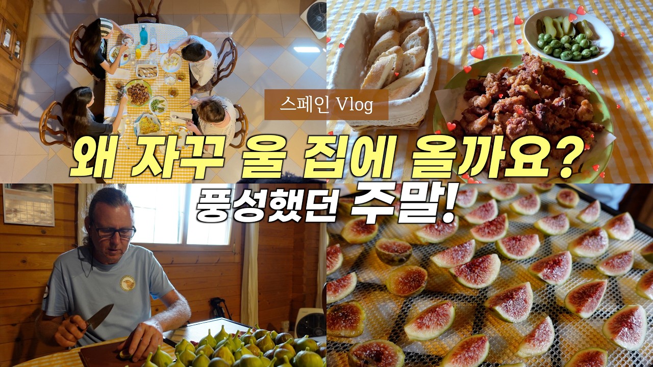 밥 먹으러 온 쌍둥이 스페인 친구들, 풍성한 주말 일상