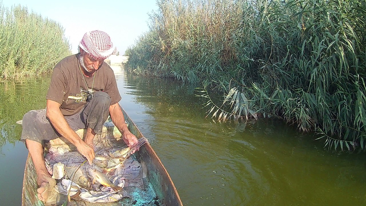 احلى صيد سمتي بشبك عشيري