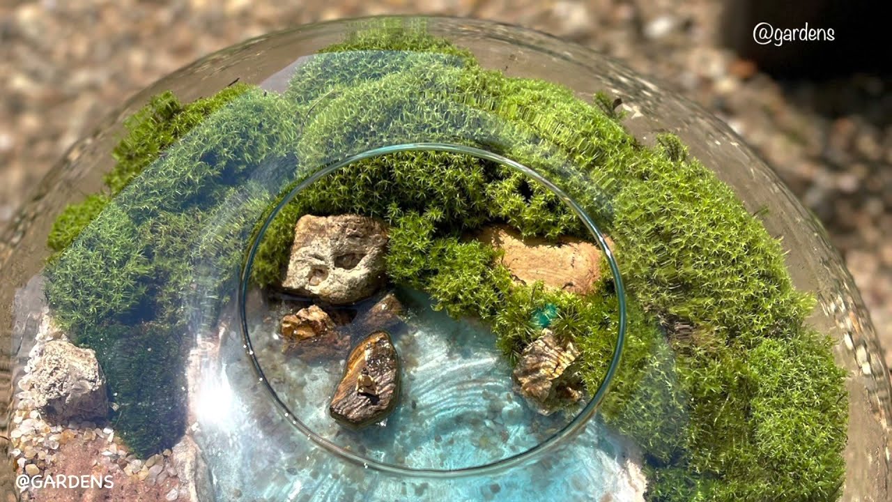 TERRÁRIO COM LAGO🍀 …TERRÁRIOTERAPIA