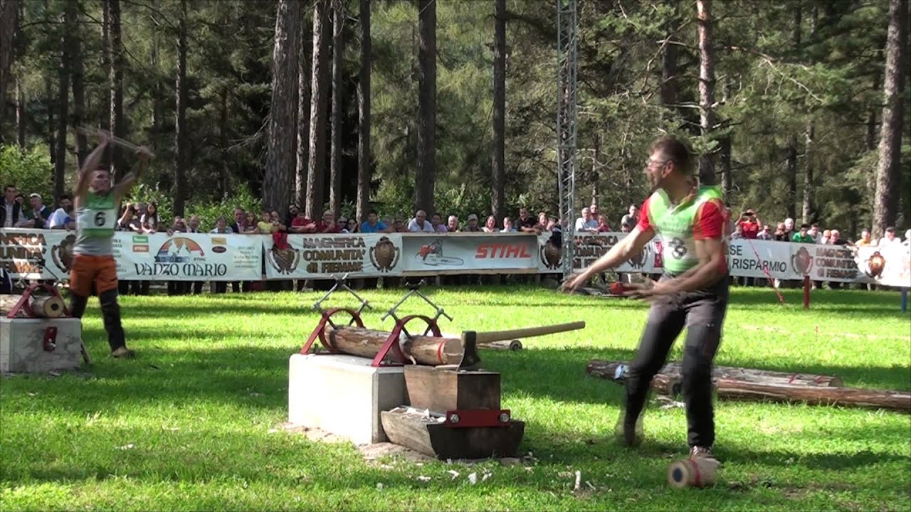 Festa del Boscaiolo 2014